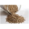 CMS JEERA WHOLE 1KG - kumin celi