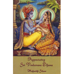 Appreciating Sri Vrndavana...