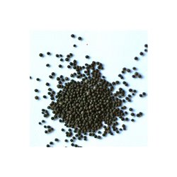 CMS MUSTARD SEEDS 100G/gorčica črna