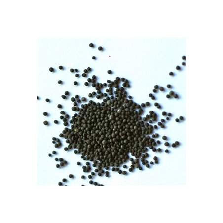 CMS MUSTARD SEEDS 100G/gorčica črna