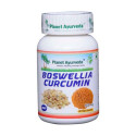 Prehransko dopolnilo BOSWELLIA CURCUMIN KAPSULE - 60 kapsul po 500 mg