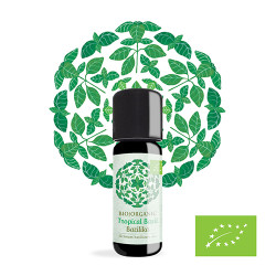 Amon & Anis Ekološko eterično olje BAZILIKA 10 ML