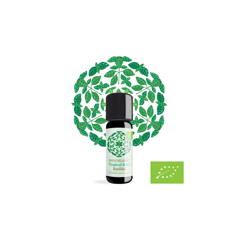 Amon & Anis Ekološko eterično olje BAZILIKA 10 ML